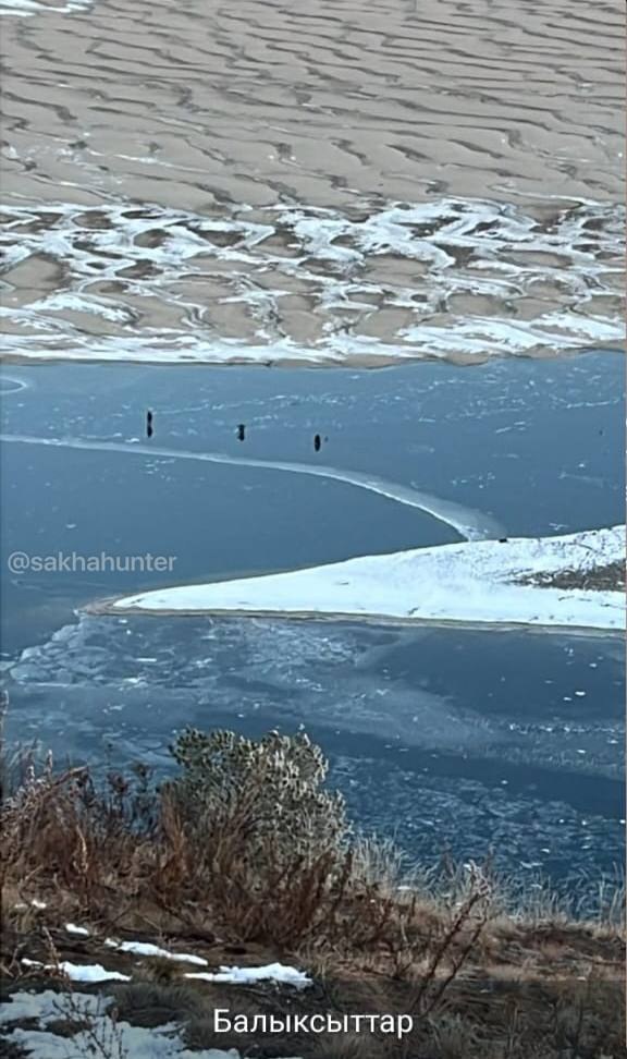 Кангаласский мыс, рыбаки уже тут.

@sakhahunter